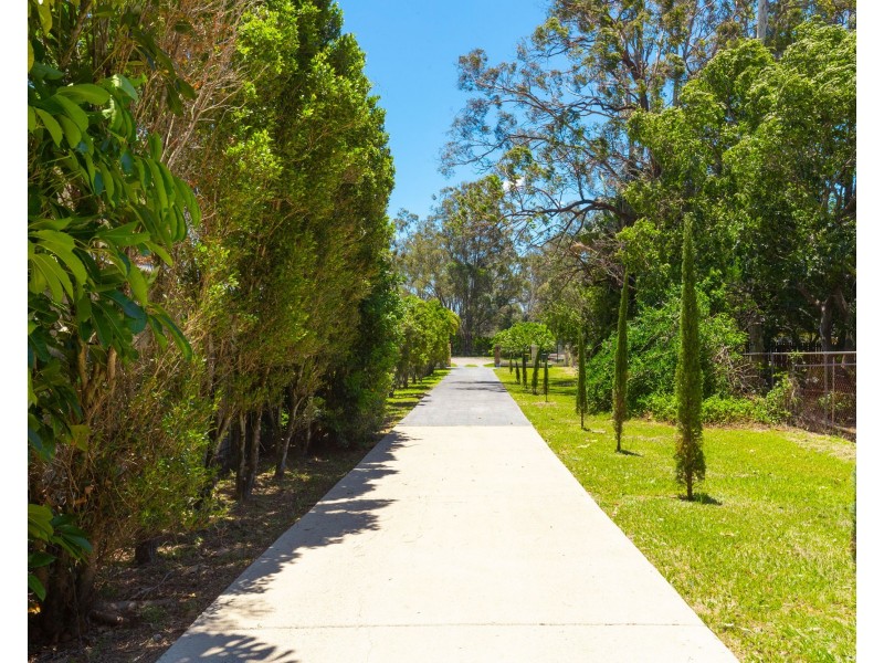 50 Evergreen Street, Bracken Ridge QLD 4017