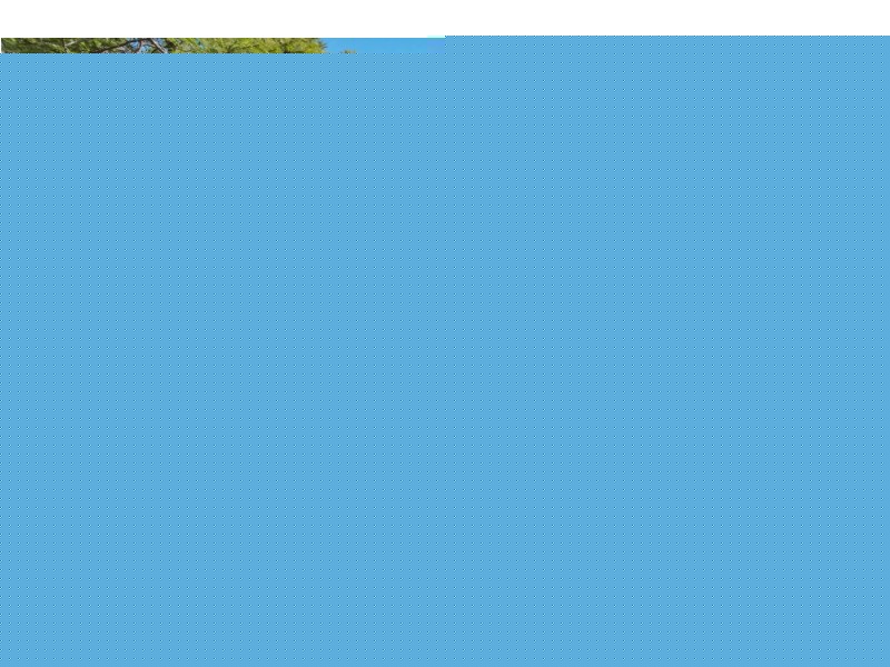 37 Windrest Avenue, Aspley QLD 4034