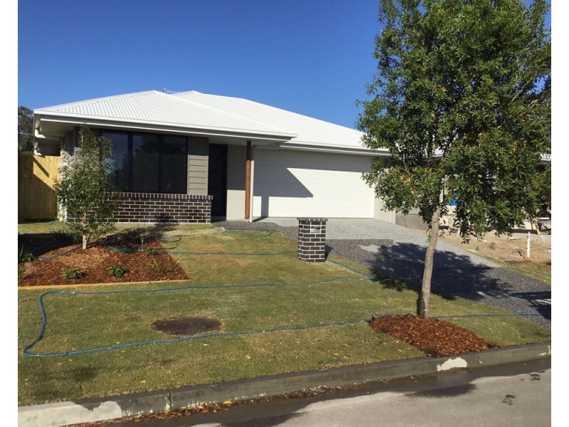 14 Waterline Street, Pimpama QLD 4209