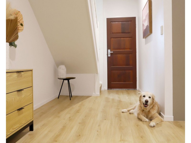 2/399 Rode Road, Chermside QLD 4032