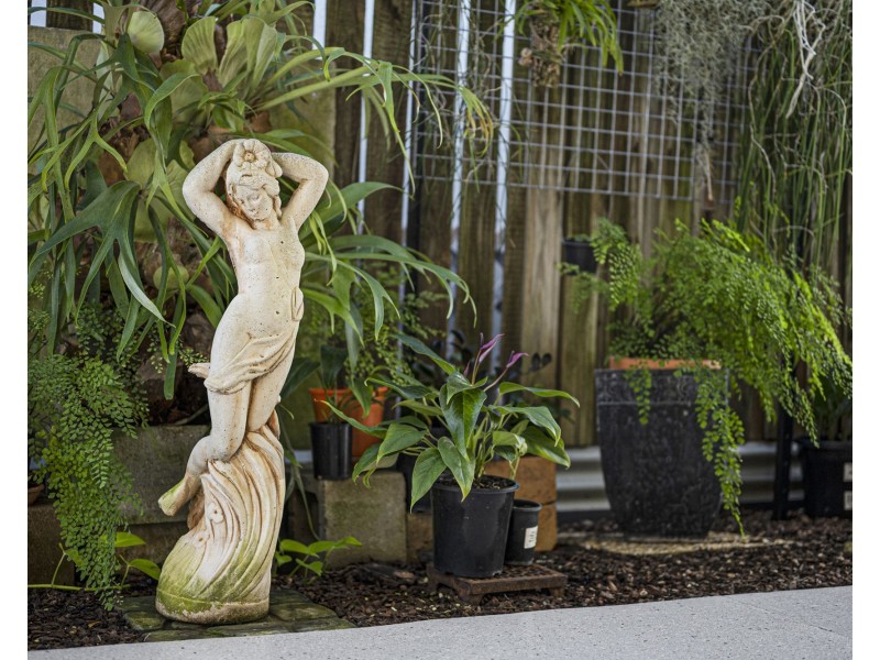 1/40 Barron Street, Gordon Park QLD 4031