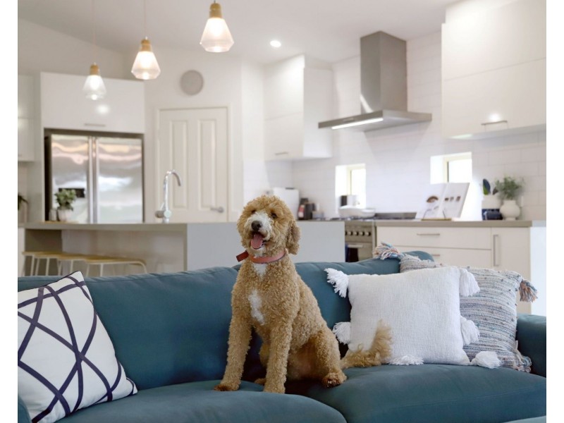 87 Cowie Road, Carseldine QLD 4034