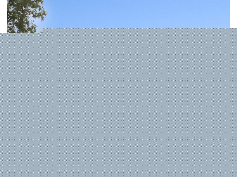 14 Cox Drive, Morayfield QLD 4506