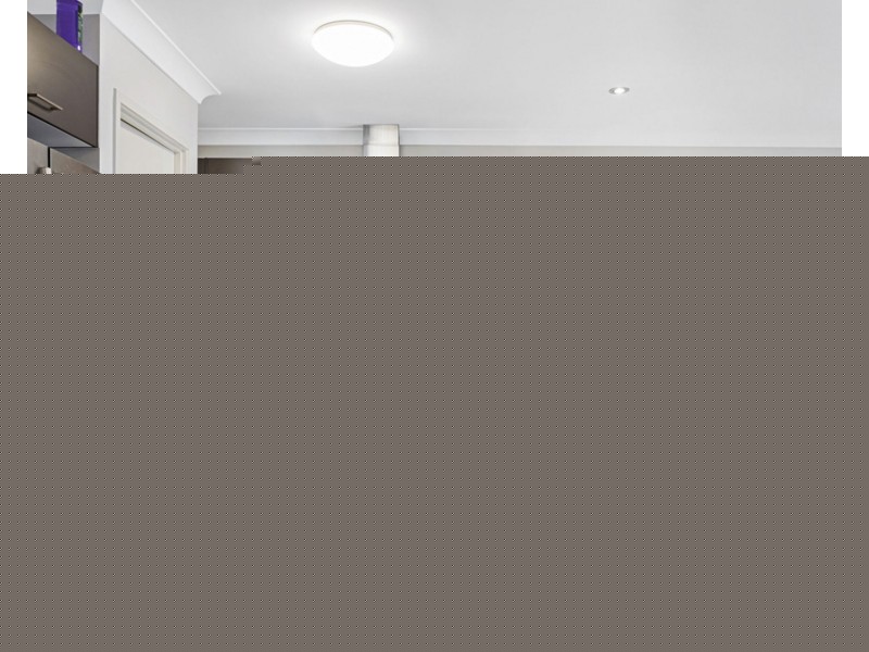 24 Connors Street, Petrie QLD 4502