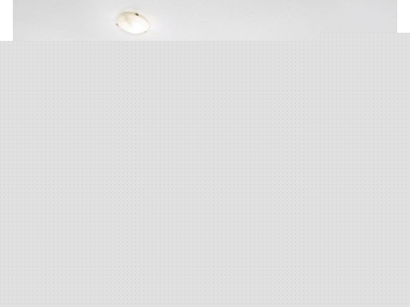 24 Connors Street, Petrie QLD 4502