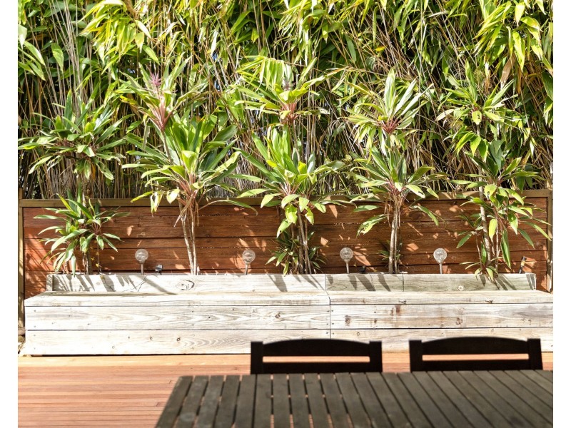 39 Dandelion Street, Griffin QLD 4503