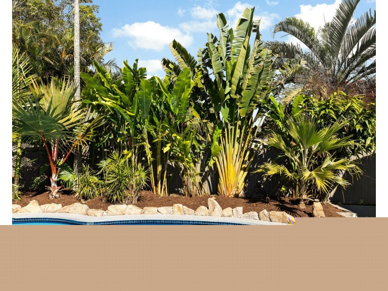 61 Rinnicrew Street, Bracken Ridge QLD 4017