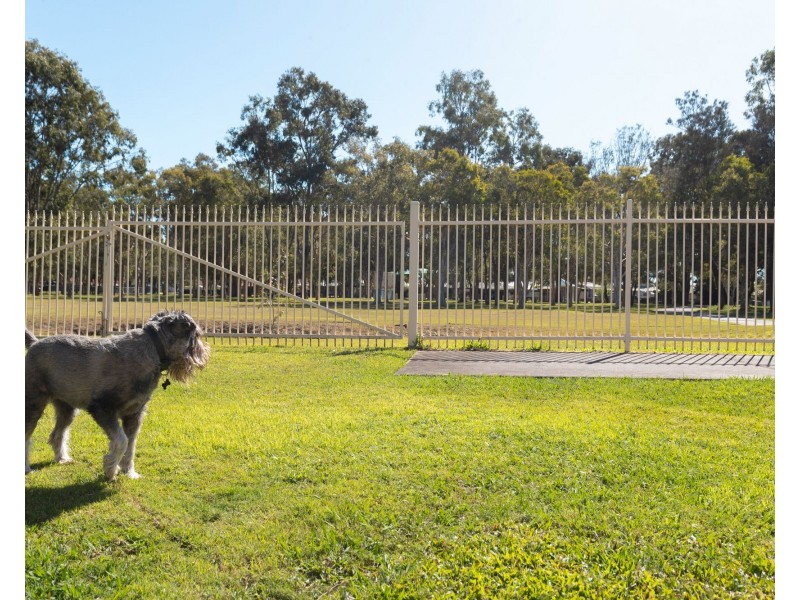 51 Gladdon Street, Bald Hills QLD 4036