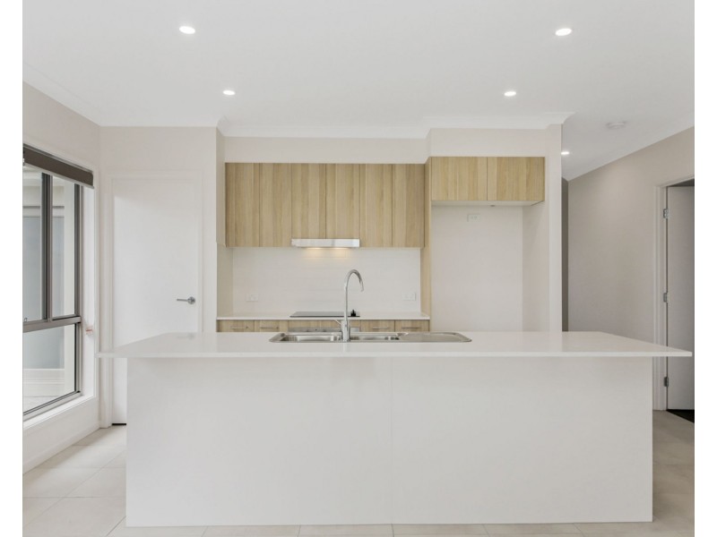 14 Spoonbill Street, Nudgee QLD 4014