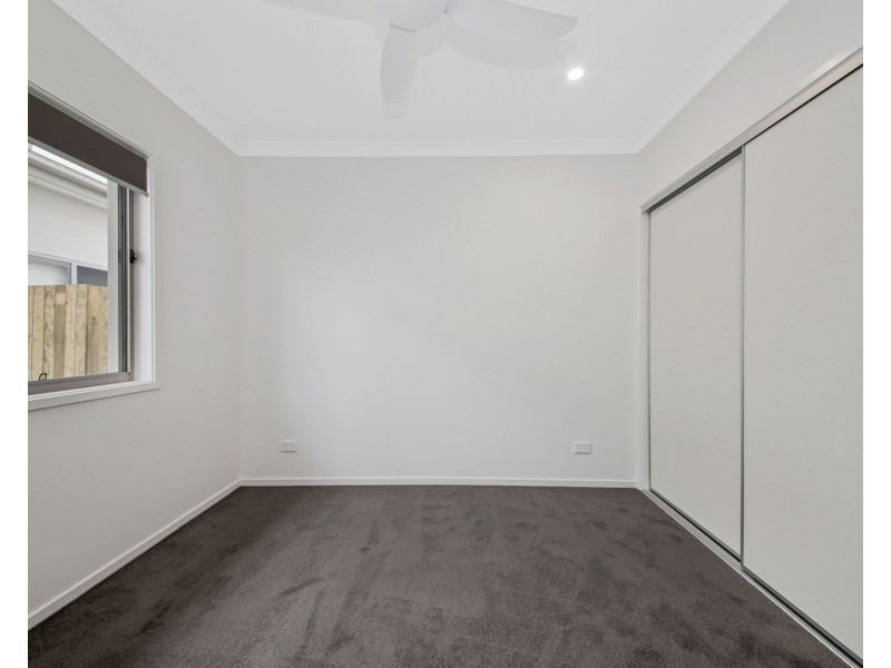 14 Spoonbill Street, Nudgee QLD 4014