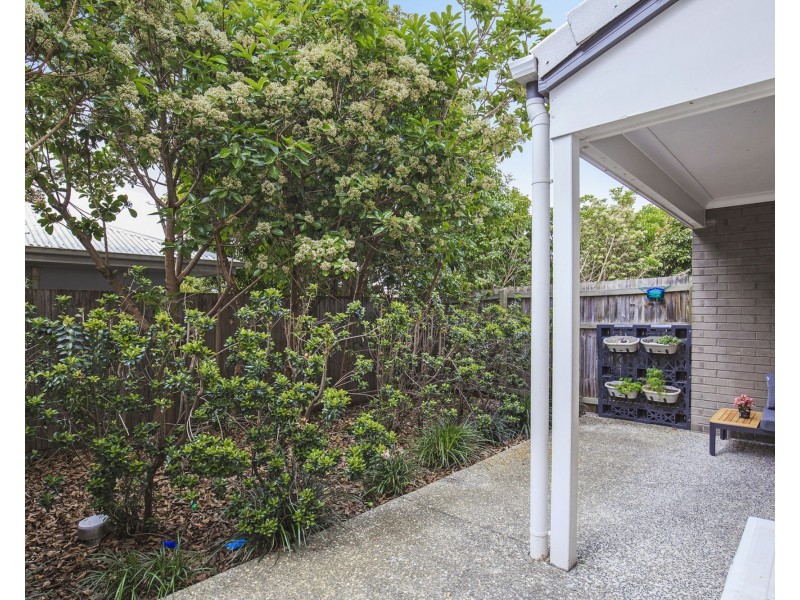 15/111 Cowie Road, Carseldine QLD 4034