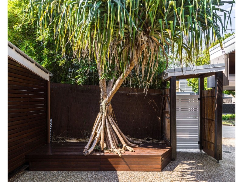 1 Tuarn Street, Bracken Ridge QLD 4017