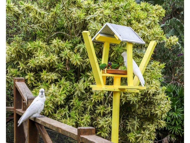 269 Church Road, Eatons Hill QLD 4037