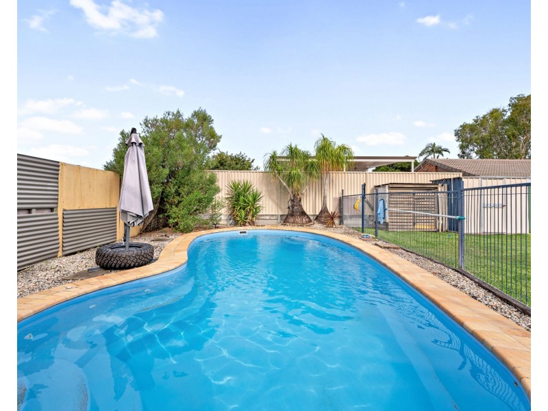 106 Arnica Crescent, Bald Hills QLD 4036
