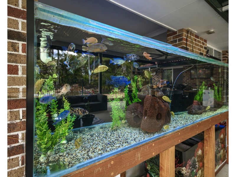 7 Karelyn Drive, Joyner QLD 4500