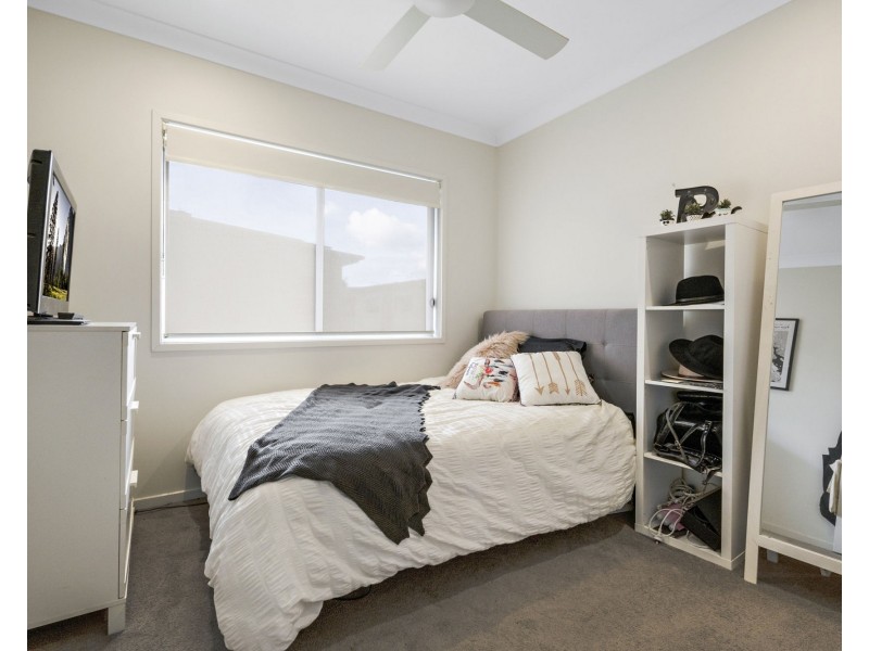 174 Carselgrove Avenue, Fitzgibbon QLD 4018