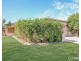 3 Figtree Place, Bracken Ridge QLD 4017