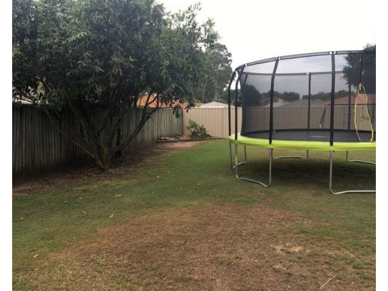 40 Sophy Crescent, Bracken Ridge QLD 4017