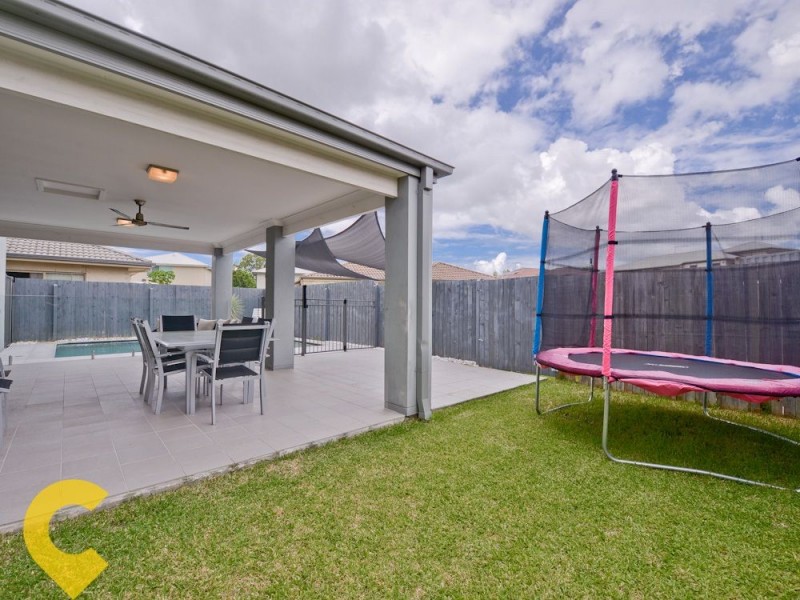 11 Petrie Crescent, Aspley QLD 4034
