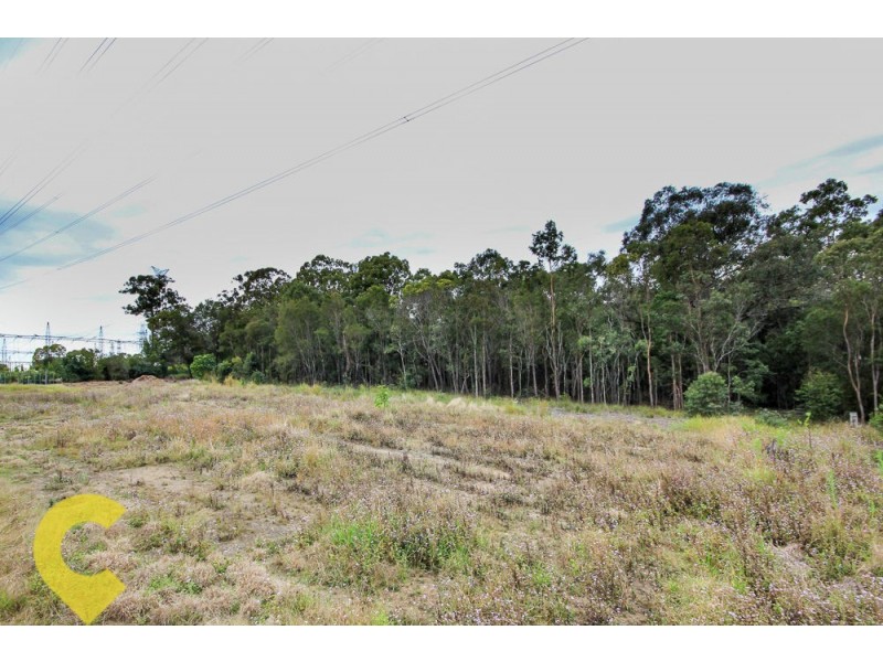 81 Weedon Street, Mansfield QLD 4122