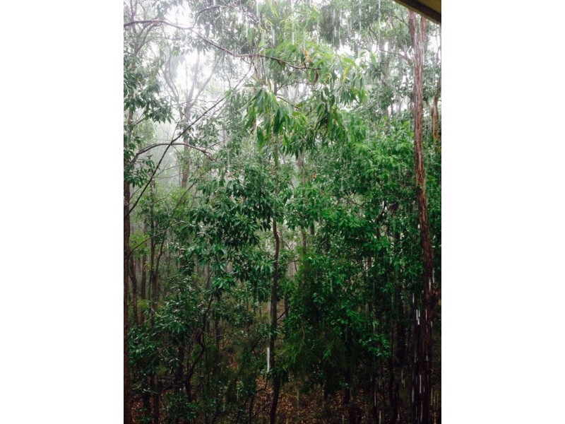 81 Weedon Street, Mansfield QLD 4122