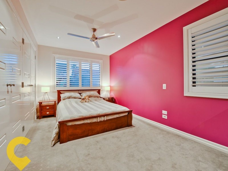 77 Newman Avenue, Camp Hill QLD 4152