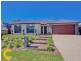53 Foxwood Cct, Wakerley QLD 4154