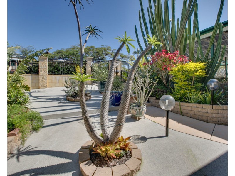 58 Tirrabella Street, Carina Heights QLD 4152