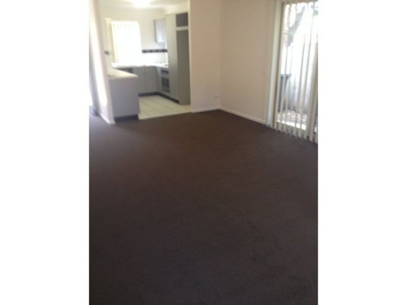 3/41 Manson Parade, Yeronga QLD 4104