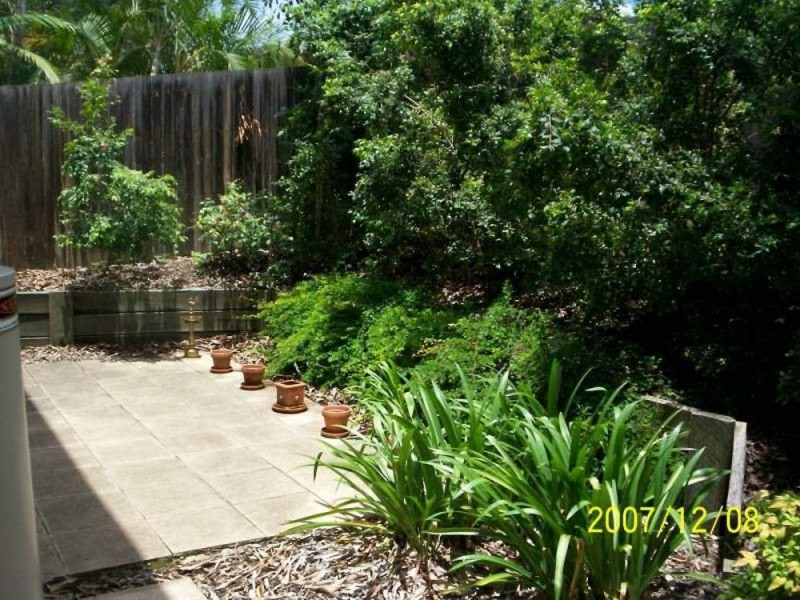 3/41 Manson Parade, Yeronga QLD 4104