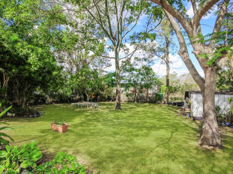 24 Carnival Street, Loganlea QLD 4131