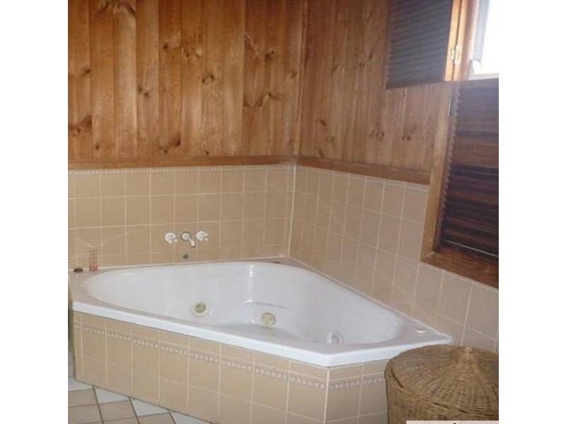 17 Main Avenue, Coorparoo QLD 4151