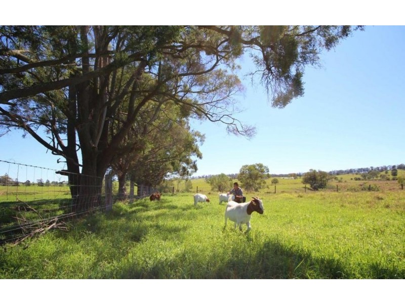 363 Veresdale Scrub School Road, Veresdale Scrub QLD 4285