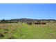 363 Veresdale Scrub School Road, Veresdale Scrub QLD 4285