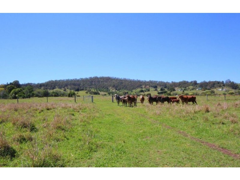 363 Veresdale Scrub School Road, Veresdale Scrub QLD 4285