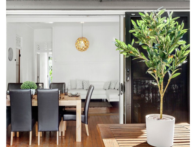 54 Earl Street, Greenslopes QLD 4120