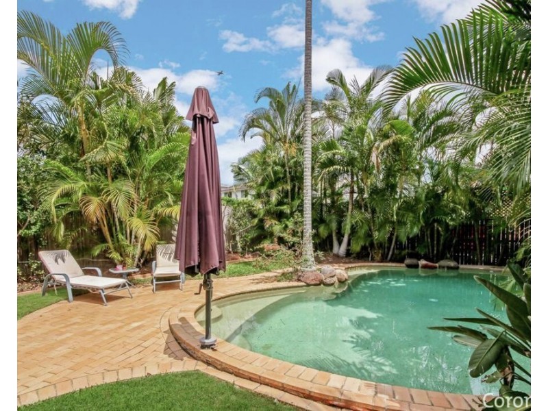 131 Molloy Road, Morningside QLD 4170