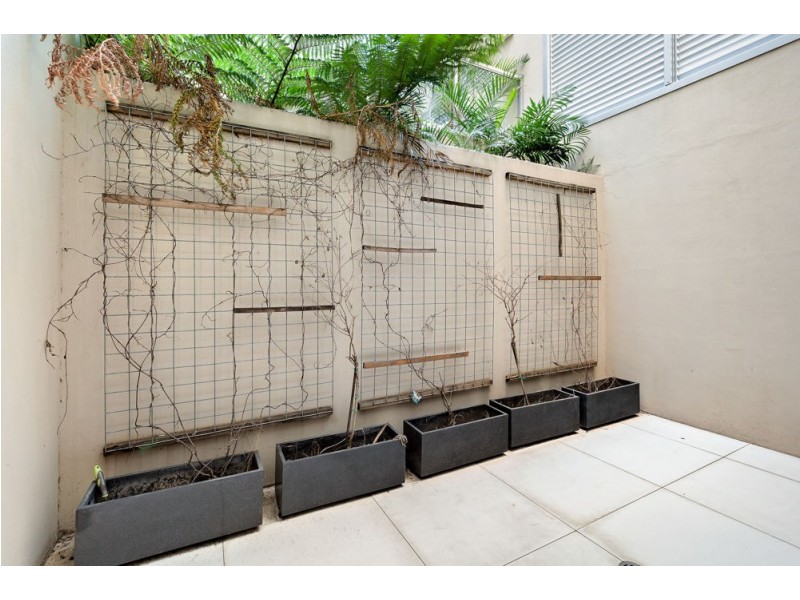 5/115 Robertson Street, Fortitude Valley QLD 4006