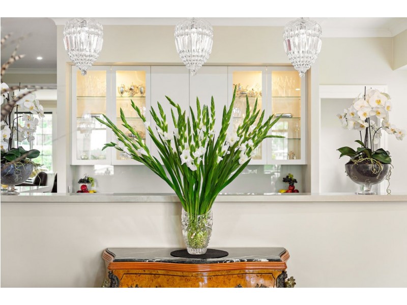 26 Procyon Street, Coorparoo QLD 4151