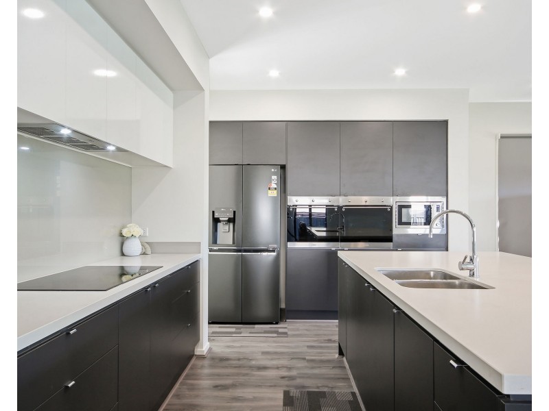 17 Munce Place, Cannon Hill QLD 4170