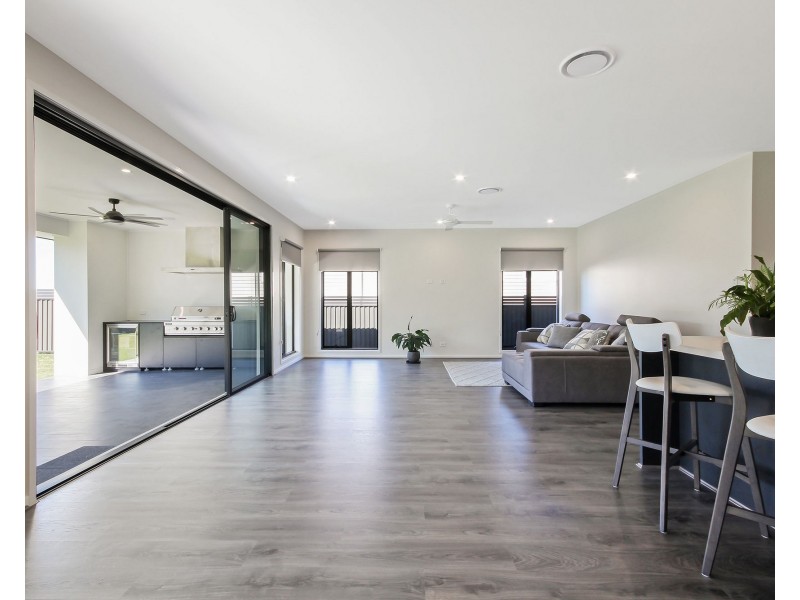 17 Munce Place, Cannon Hill QLD 4170