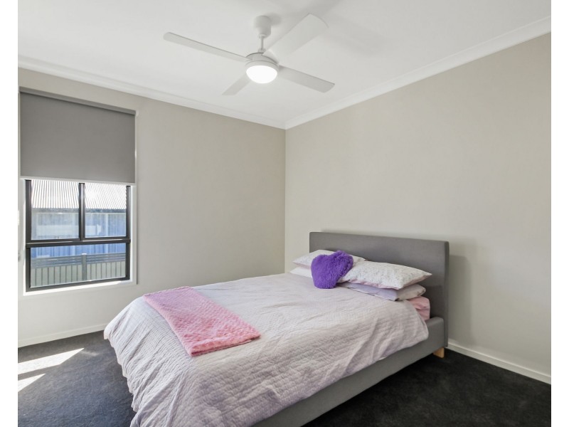 17 Munce Place, Cannon Hill QLD 4170