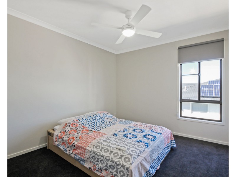 17 Munce Place, Cannon Hill QLD 4170