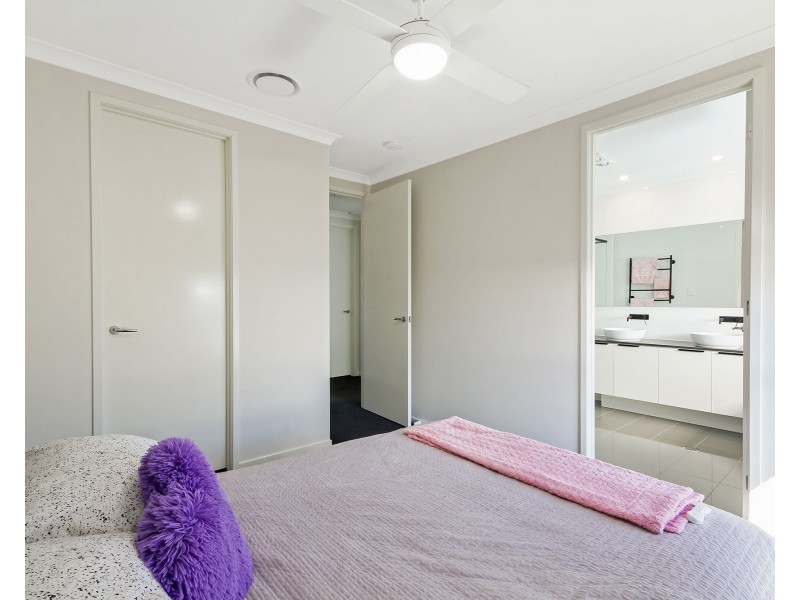 17 Munce Place, Cannon Hill QLD 4170