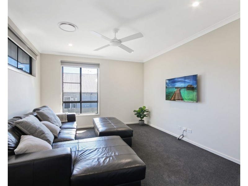 17 Munce Place, Cannon Hill QLD 4170