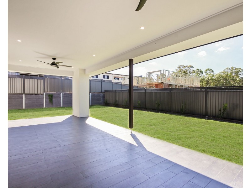 17 Munce Place, Cannon Hill QLD 4170