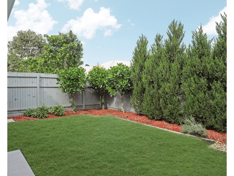 3 Cardwell Circuit, Thornlands QLD 4164