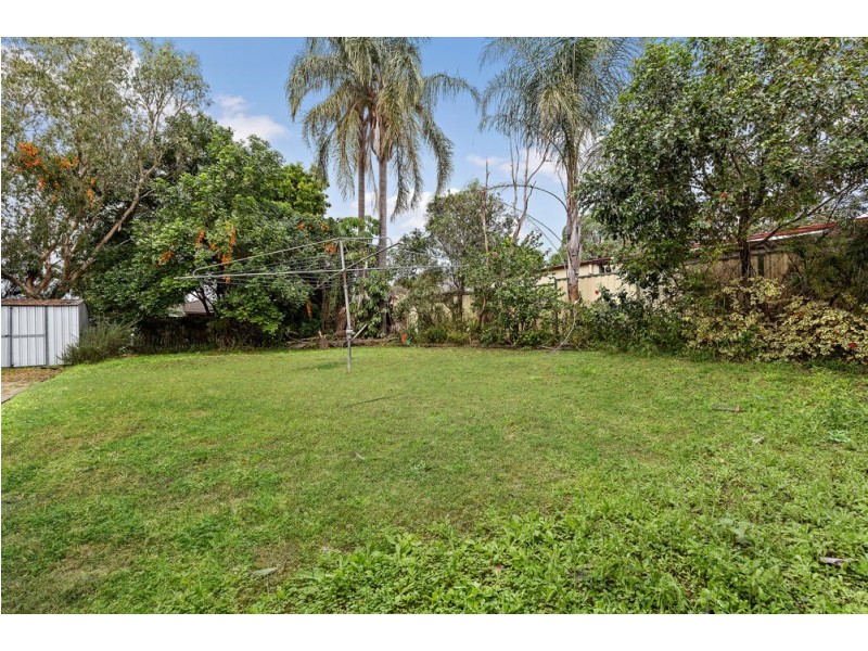 146 Bradman Street, Sunnybank Hills QLD 4109