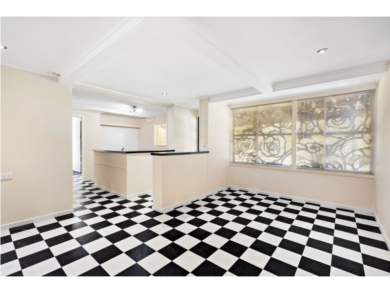 111 Murton Avenue, Holland Park QLD 4121