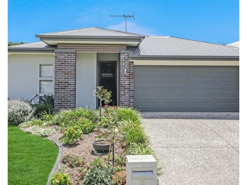 11 Cotham Street, Nudgee QLD 4014